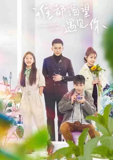 谁都渴望遇见你